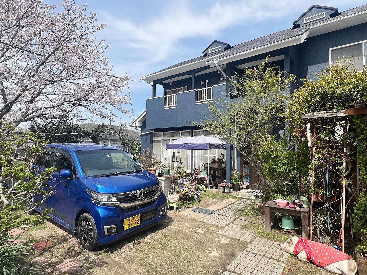 1年前に塗装したM様邸に点検に行ってきました！